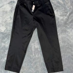 NWT Talbots pants…gorgeous and shiny!!